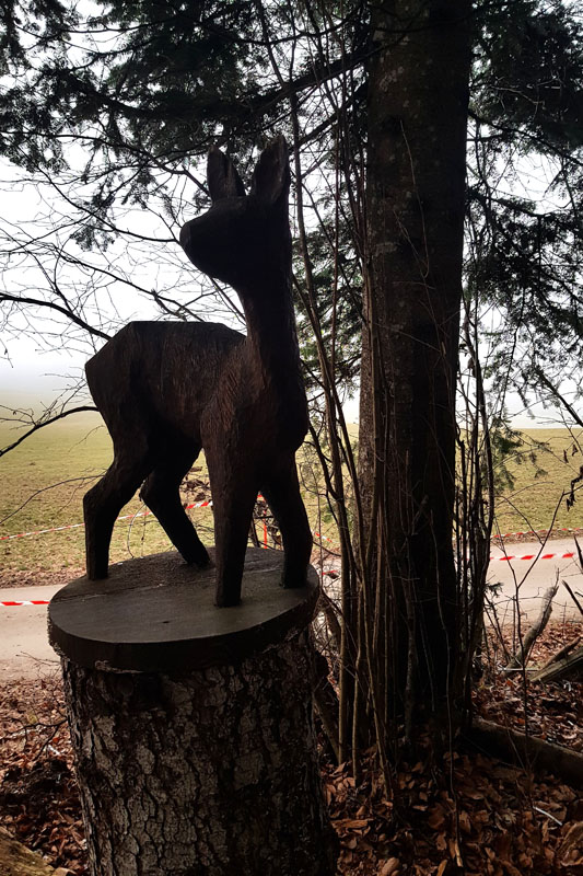 Randonnée - Sentier à tire d’ailes à Le Crêt