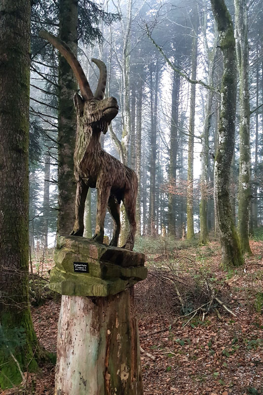 Randonnée - Sentier à tire d’ailes à Le Crêt