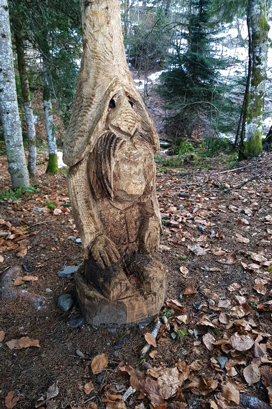 Randonnée - Le sentier des Lutins des Paccots