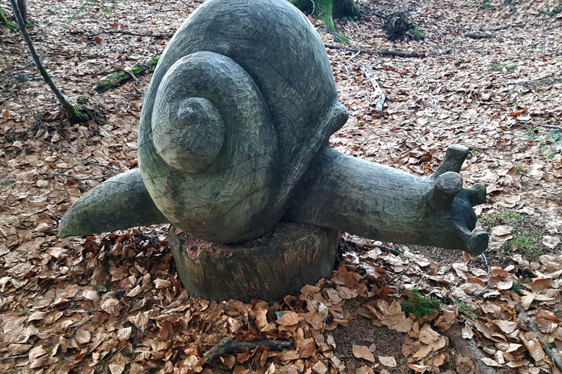 Randonnée - Le sentier des Lutins des Paccots