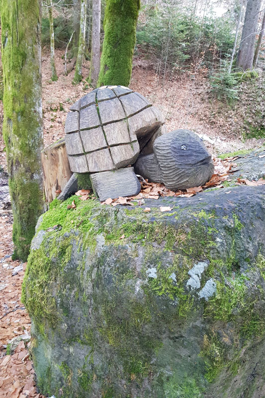 Randonnée - Le sentier des Lutins des Paccots