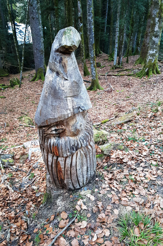 Randonnée - Le sentier des Lutins des Paccots