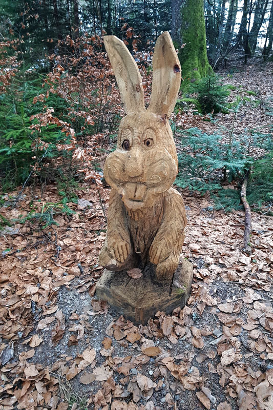 Randonnée - Le sentier des Lutins des Paccots