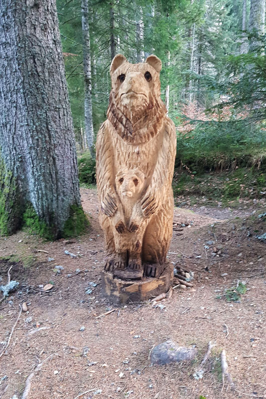 Randonnée - Le sentier des Lutins des Paccots