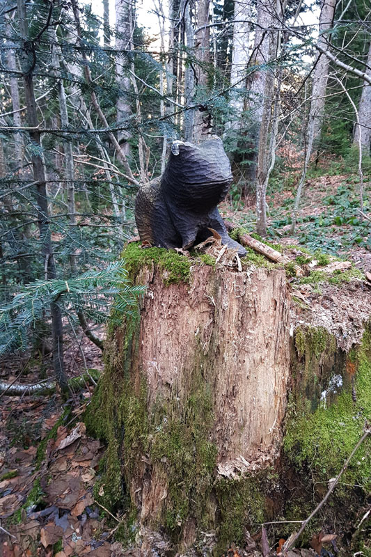 Randonnée - Le sentier des Lutins des Paccots
