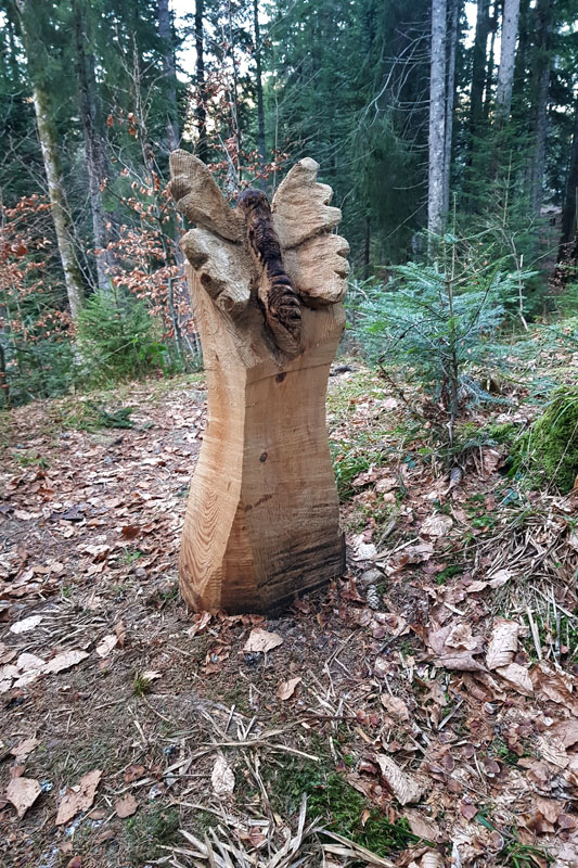 Randonnée - Le sentier des Lutins des Paccots
