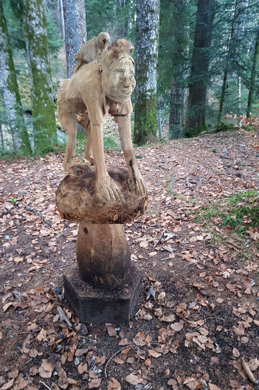 Randonnée - Le sentier des Lutins des Paccots