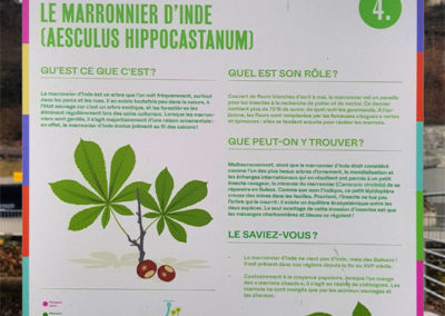 Randonnée - Vevey, En nature Simone !