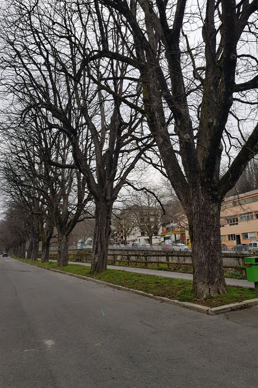 Randonnée - Vevey, En nature Simone !