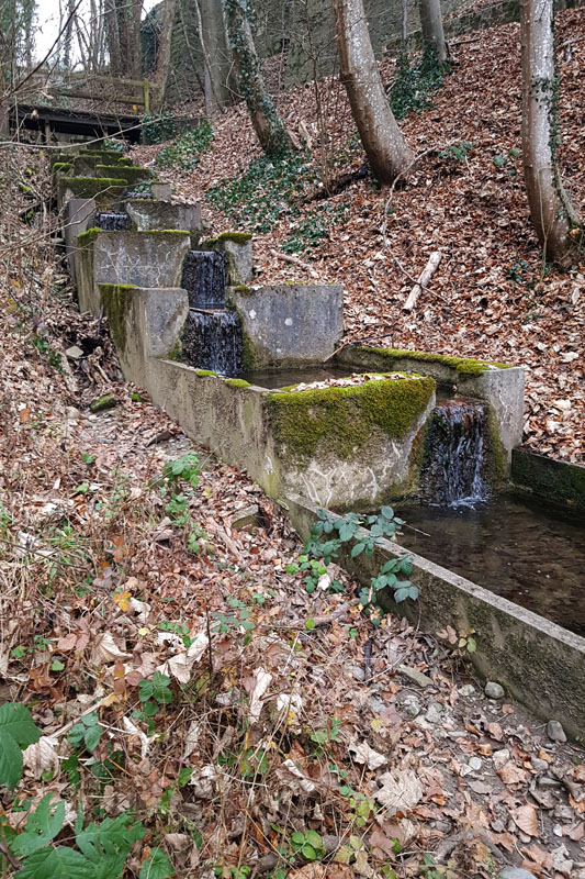 Randonnée - Vevey, En nature Simone !