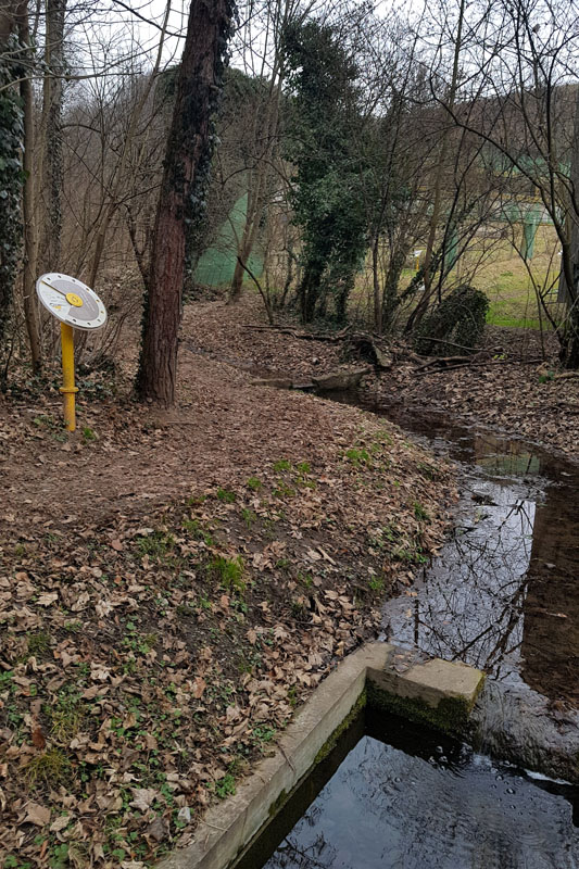 Randonnée - Vevey, En nature Simone !