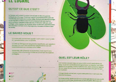 Randonnée - Vevey, En nature Simone !