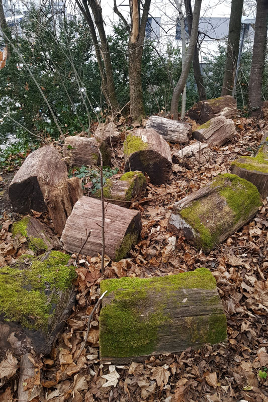 Randonnée - Vevey, En nature Simone !