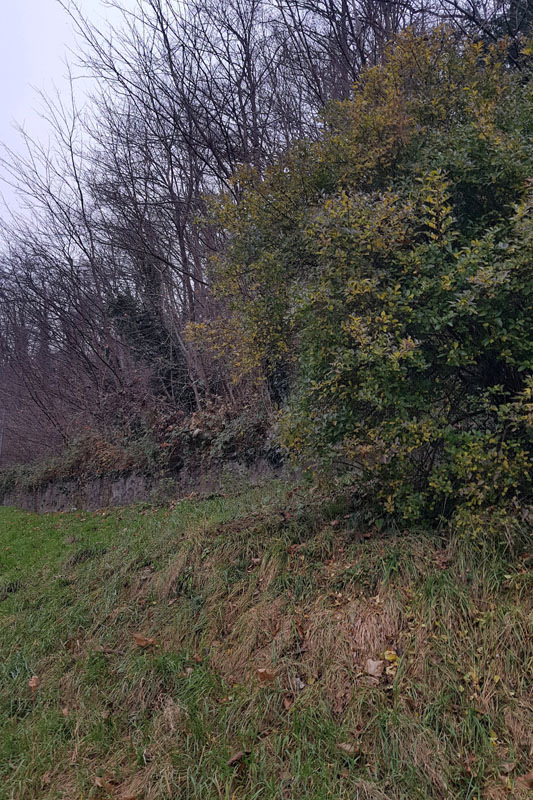 Randonnée - Vevey, En nature Simone !