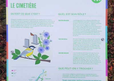 Randonnée - Vevey, En nature Simone !