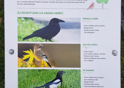 Randonnée - Vevey, En nature Simone !