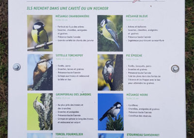 Randonnée - Vevey, En nature Simone !