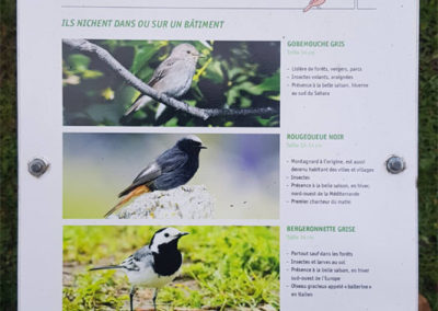 Randonnée - Vevey, En nature Simone !