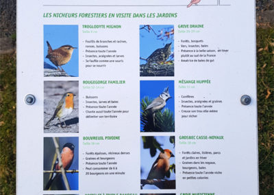 Randonnée - Vevey, En nature Simone !