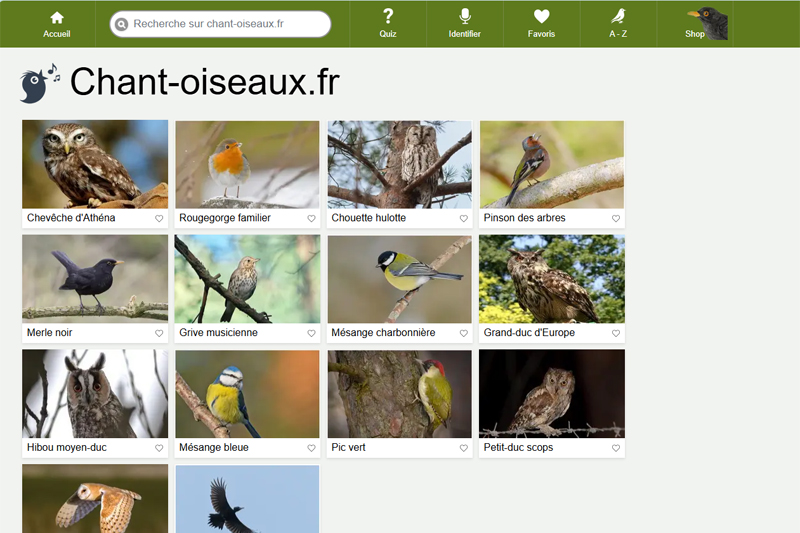Chant-oiseaux.fr
