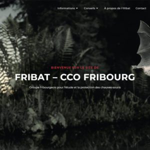 Fribat