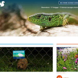 Nos voisins sauvages