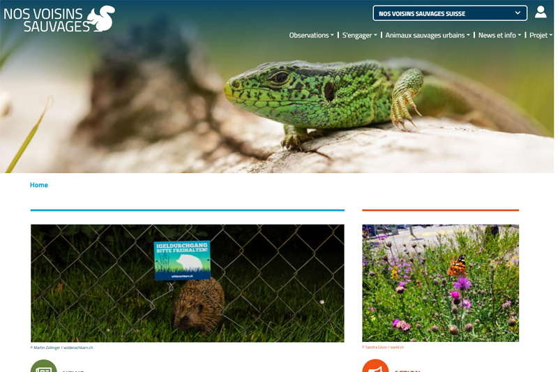 Nos voisins sauvages