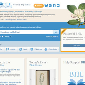 biodiversitylibrary.org