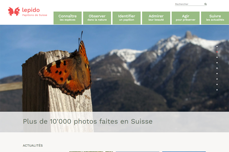 Lepido, papillons de Suisse