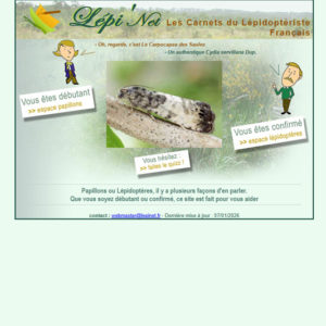 Lépi’Net. Les Carnets du Lépidoptériste Français