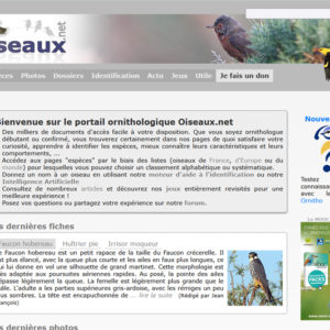 Oiseaux.net