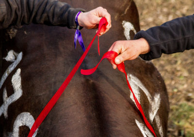 Culture - Qualificatif combats de reines Martigny