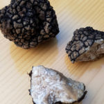 Truffe d'été, Puidoux, Suisse