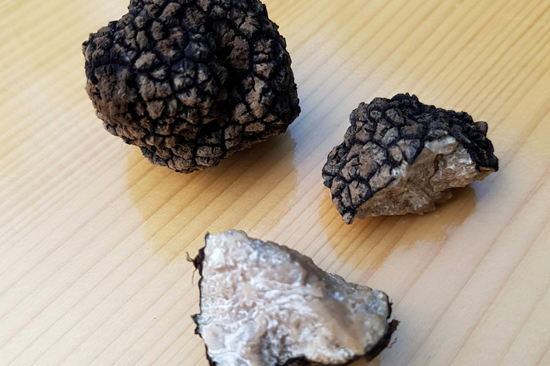 Truffe d&rsquo;été