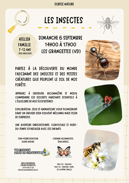 Programme 2026 - Les insectes Programme 2026 - Les insectes