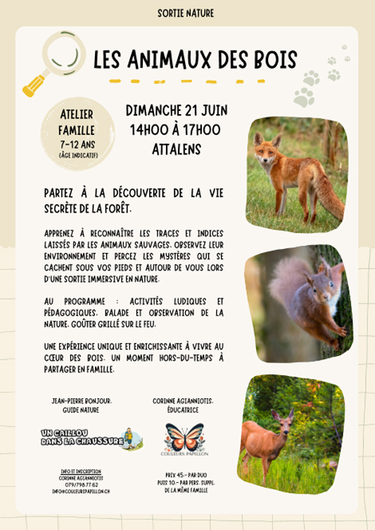 003_FeuilleDeRoute_LesAnimauxDesBois_20260621_002 Programme 2026 - Fest'Hiver