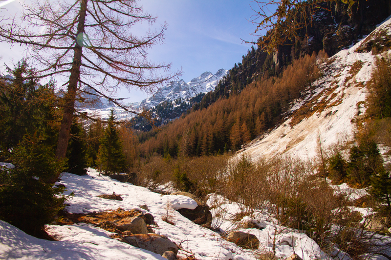 Randonnée - Bisse du Trient au printemps