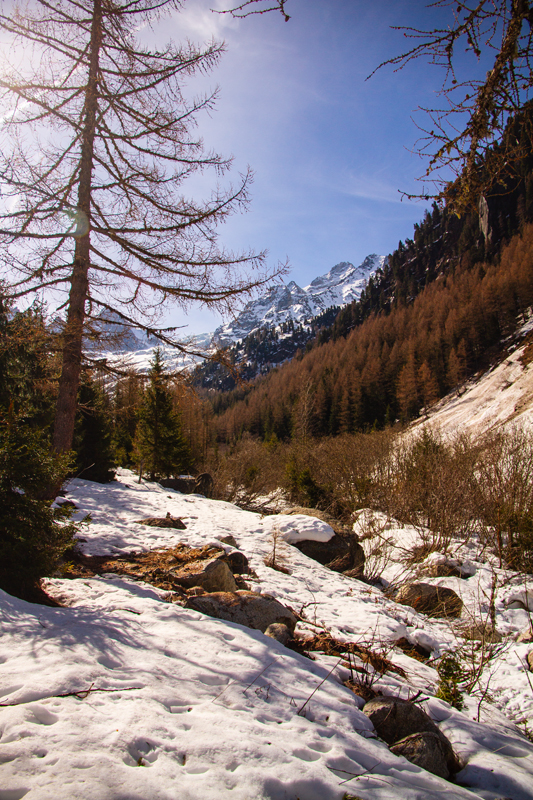 Randonnée - Bisse du Trient au printemps