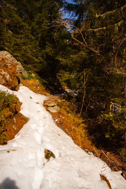 Randonnée - Bisse du Trient au printemps