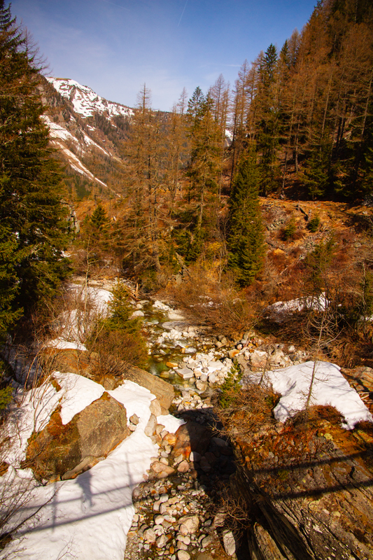 Randonnée - Bisse du Trient au printemps