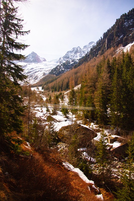 Randonnée - Bisse du Trient au printemps