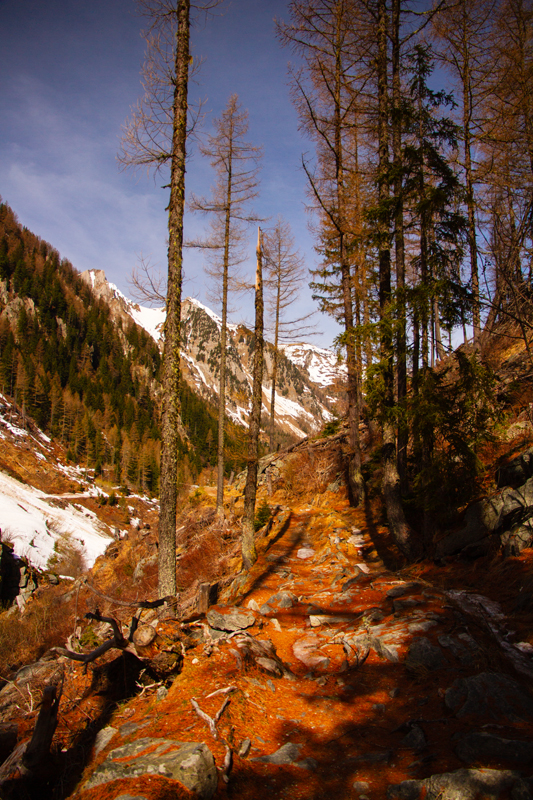 Randonnée - Bisse du Trient au printemps