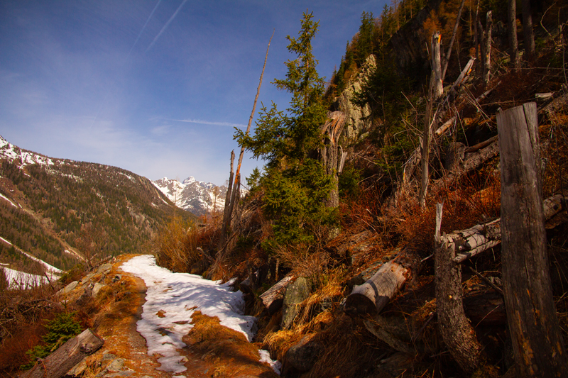 Randonnée - Bisse du Trient au printemps