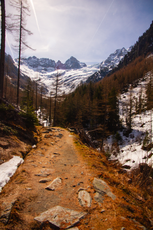 Randonnée - Bisse du Trient au printemps
