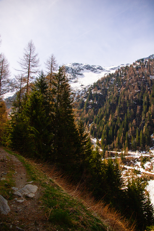 Randonnée - Bisse du Trient au printemps