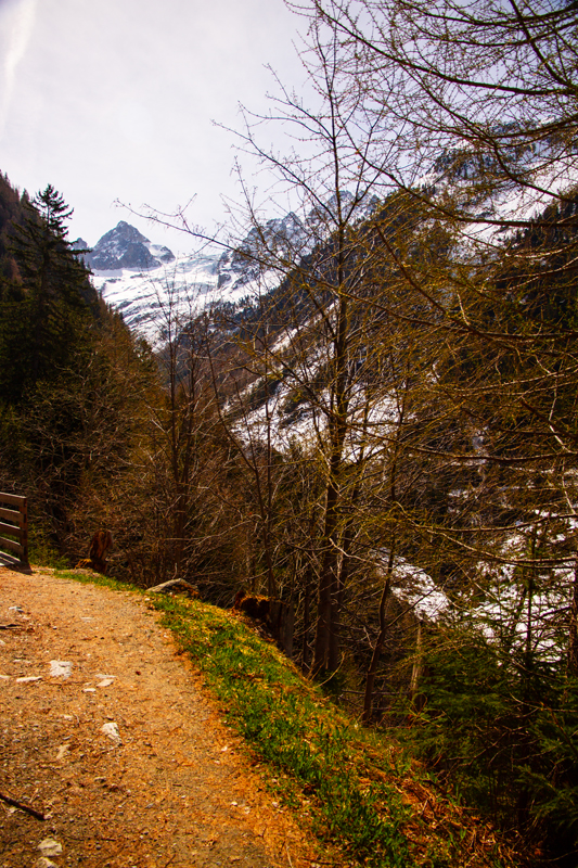 Randonnée - Bisse du Trient au printemps