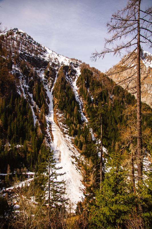 Randonnée - Bisse du Trient au printemps