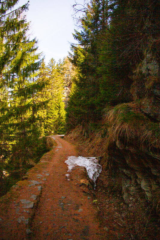 Randonnée - Bisse du Trient au printemps