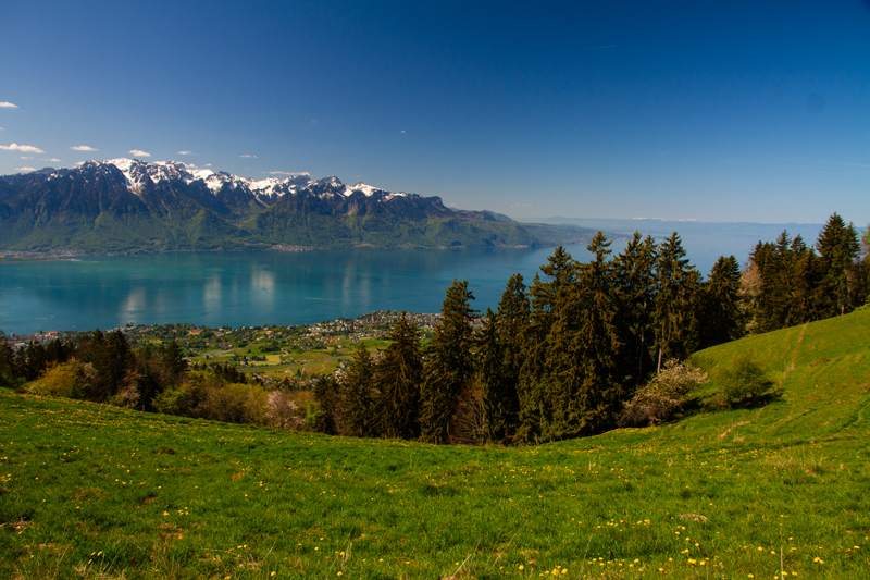 Randonnée - Circuit des Biches