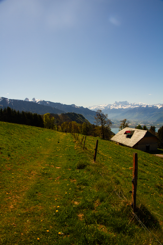 Randonnée - Circuit des Biches